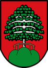 Wunschkennzeichen MAINBURG
